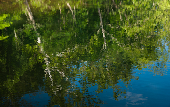 Reflections, Cacapon State Park, June 7, 2010